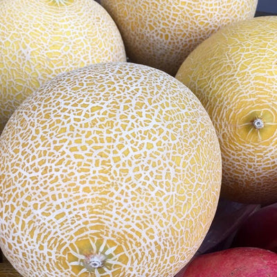 Galia Melon