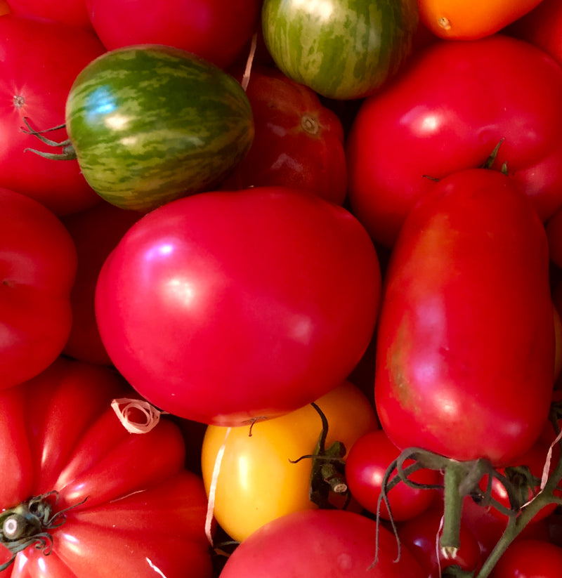 Tomatoes - Heritage