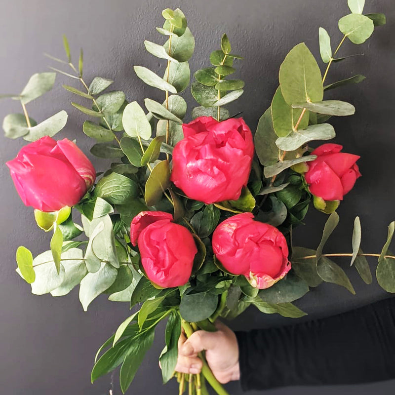 Peonies with eucalyptus