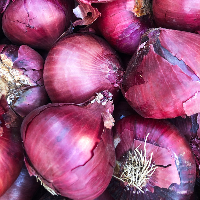 Onions - Red