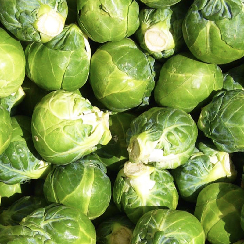 Brussel Sprouts