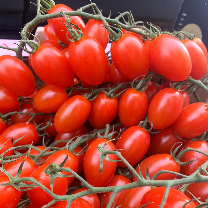 Tomatoes - Cherry Plum