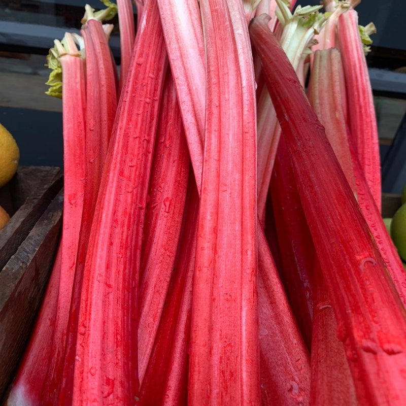 Rhubarb