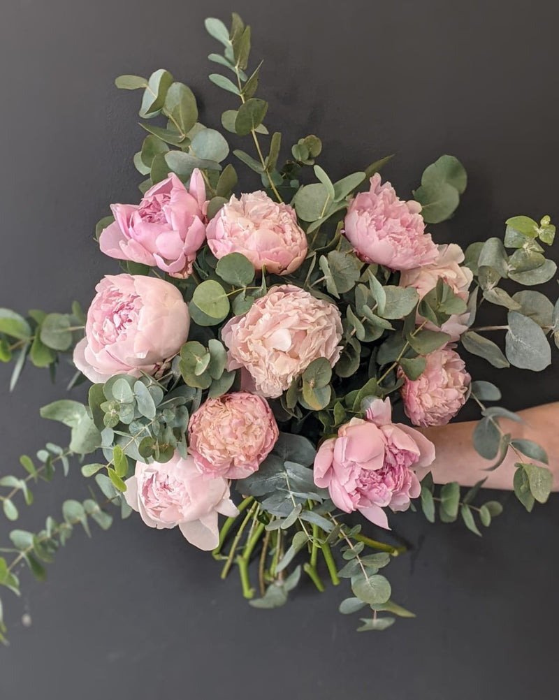 Peonies with eucalyptus