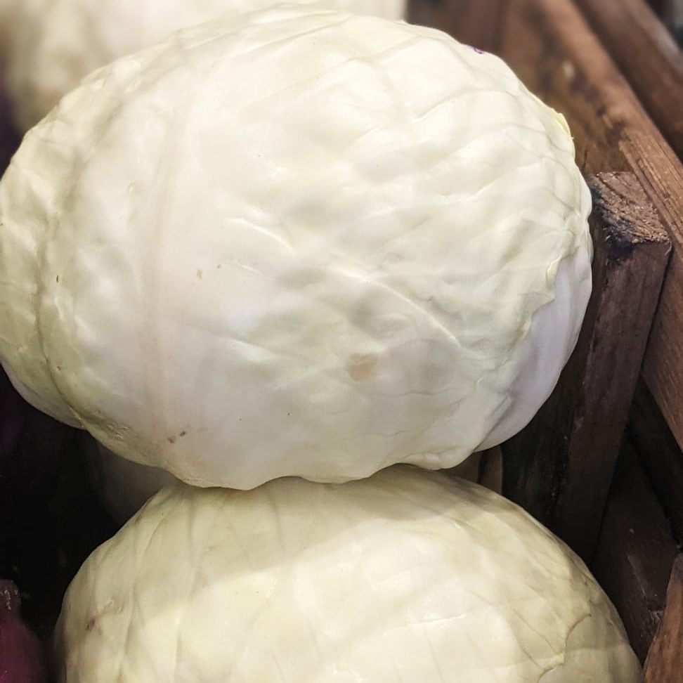 Cabbage - White – Highgate Greens and Blooms